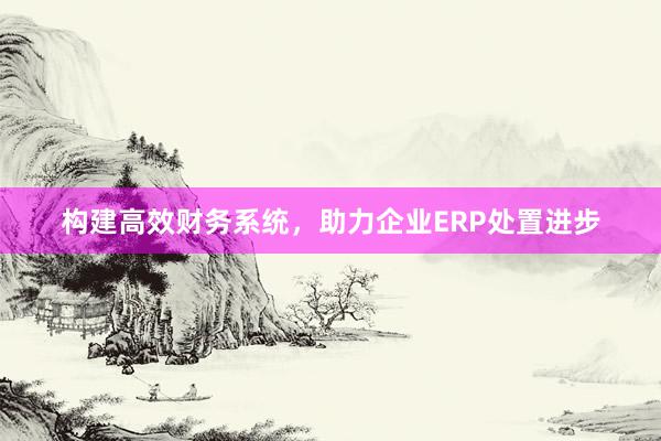 构建高效财务系统，助力企业ERP处置进步