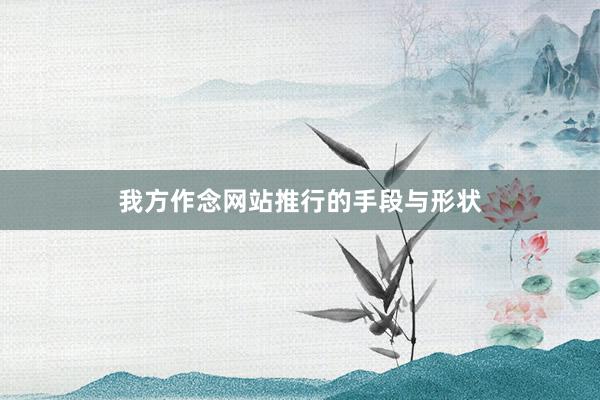 我方作念网站推行的手段与形状