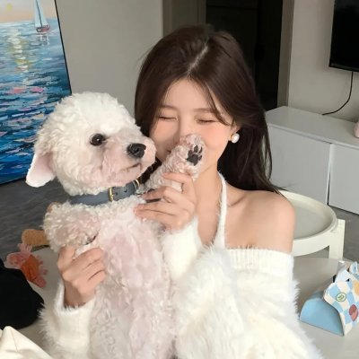 奶团太后宫心计